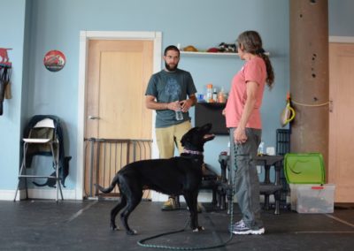 Grantsville-Maryland-MD-Dog-Training